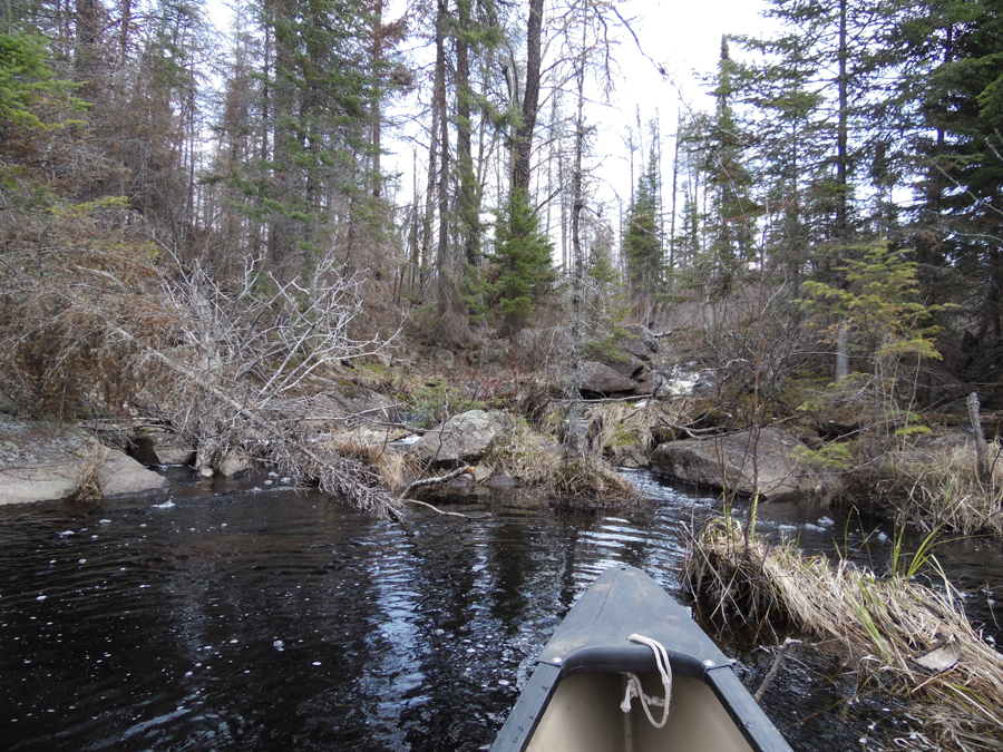 Weasel Lake PMA in the BWCA